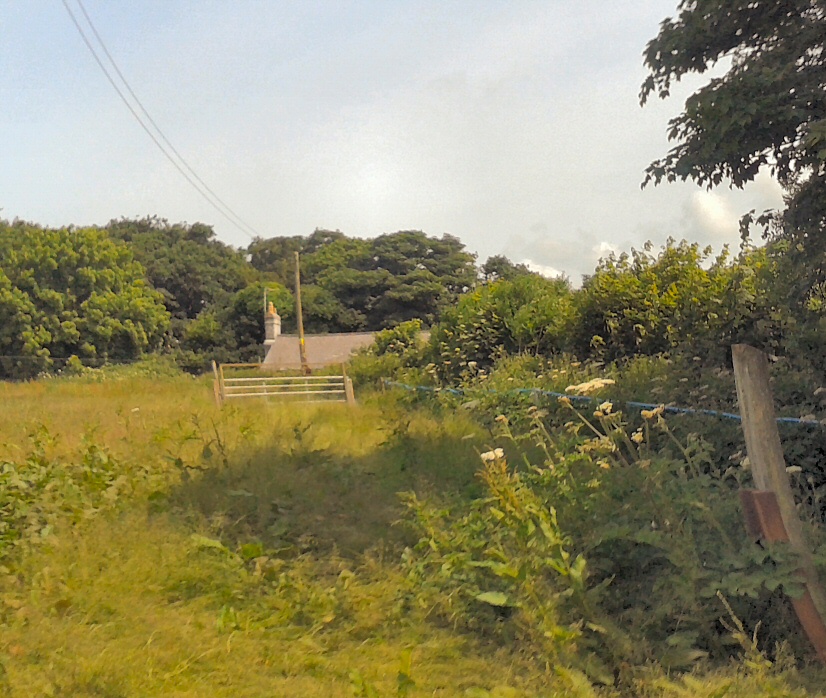 Cottage Photo#1
